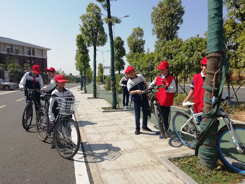 刘俊豪和同学们一起开展志愿活动——整理自行车.jpg